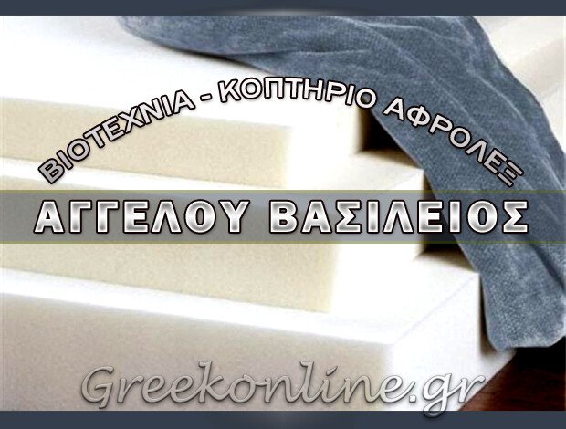 ΒΙΟΤΕΧΝΙΑ – ΚΟΠΤΗΡΙΟ ΑΦΡΟΛΕΞ ΔΡΥΜΟΣ ΘΕΣΣΑΛΟΝΙΚΗΣ ΑΓΓΕΛΟΥ ΒΑΣΙΛΕΙΟΣ