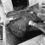 ΟΙΝΟΠΟΙΕΙΟ-ΖΕΥΓΟΛΑΤΕΙΟ-ESTI-WINES-ΤΖΕΛΕΠΗΣ