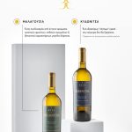 ΟΙΝΟΠΟΙΕΙΟ-ΖΕΥΓΟΛΑΤΕΙΟ-ESTI-WINES-ΤΖΕΛΕΠΗΣ