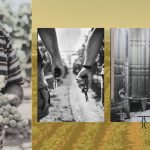 ΟΙΝΟΠΟΙΕΙΟ-ΖΕΥΓΟΛΑΤΕΙΟ-ESTI-WINES-ΤΖΕΛΕΠΗΣ