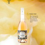 ΟΙΝΟΠΟΙΕΙΟ-ΖΕΥΓΟΛΑΤΕΙΟ-ESTI-WINES-ΤΖΕΛΕΠΗΣ