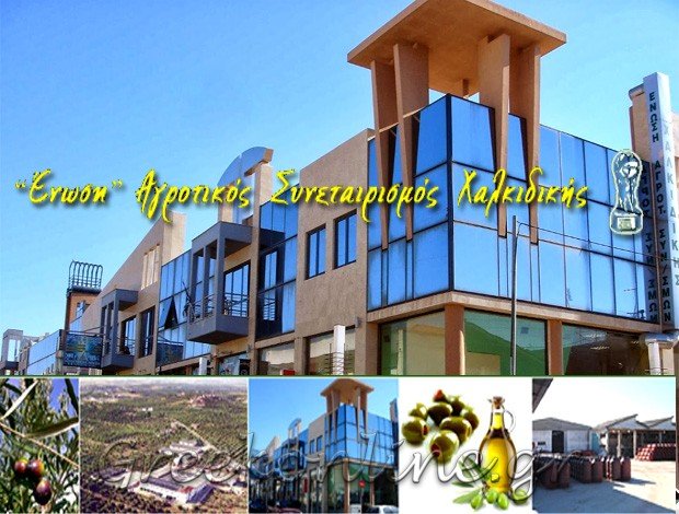 ΑΓΡΟΤΙΚΟΣ ΣΥΝΕΤΑΙΡΙΣΜΟΣ ΧΑΛΚΙΔΙΚΗΣ “ΕΝΩΣΗ”