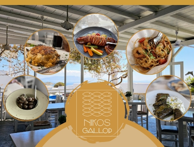 ΨΑΡΟΤΑΒΕΡΝΑ ΠΛΑΤΥΣ ΓΙΑΛΟΣ ΜΥΚΟΝΟΣ “NIKOS GALLOP RESTAURANT”