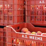 ΑΓΡΟΤΙΚΟΣ-ΣΥΝΕΤΑΙΡΙΣΜΟΣ-ΜΕΣΗΣ-ΒΕΡΟΙΑΣ-MESSI-COOP
