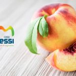 ΑΓΡΟΤΙΚΟΣ-ΣΥΝΕΤΑΙΡΙΣΜΟΣ-ΜΕΣΗΣ-ΒΕΡΟΙΑΣ-MESSI-COOP