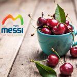 ΑΓΡΟΤΙΚΟΣ-ΣΥΝΕΤΑΙΡΙΣΜΟΣ-ΜΕΣΗΣ-ΒΕΡΟΙΑΣ-MESSI-COOP