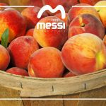 ΑΓΡΟΤΙΚΟΣ-ΣΥΝΕΤΑΙΡΙΣΜΟΣ-ΜΕΣΗΣ-ΒΕΡΟΙΑΣ-MESSI-COOP