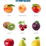 ΑΓΡΟΤΙΚΟΣ-ΣΥΝΕΤΑΙΡΙΣΜΟΣ-ΜΕΣΗΣ-ΒΕΡΟΙΑΣ-MESSI-COOP