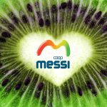 ΑΓΡΟΤΙΚΟΣ-ΣΥΝΕΤΑΙΡΙΣΜΟΣ-ΜΕΣΗΣ-ΒΕΡΟΙΑΣ-MESSI-COOP