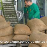 ΑΓΡΟΤΙΚΟΣ-ΣΥΝΕΤΑΙΡΙΣΜΟΣ-ΜΟΛΑΟΝ-ΠΑΚΙΩΝ-ΕΛΑΙΟΥΡΓΙΚΟΣ