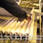 ΑΓΡΟΤΙΚΟΣ-ΣΥΝΕΤΑΙΡΙΣΜΟΣ-ΜΟΛΑΟΝ-ΠΑΚΙΩΝ-ΕΛΑΙΟΥΡΓΙΚΟΣ