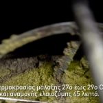 ΑΓΡΟΤΙΚΟΣ-ΣΥΝΕΤΑΙΡΙΣΜΟΣ-ΜΟΛΑΟΝ-ΠΑΚΙΩΝ-ΕΛΑΙΟΥΡΓΙΚΟΣ