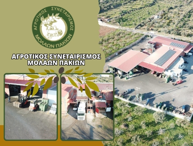 ΑΓΡΟΤΙΚΟΣ ΣΥΝΕΤΑΙΡΙΣΜΟΣ ΜΟΛΑΩΝ ΠΑΚΙΩΝ