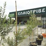 ΕΛΑΙΟΤΡΙΒΕΙΟ-ΓΙΑΝΝΙΤΣΑ-ΛΙΟΔΕΝΤΡΟ-ΕΠΕ