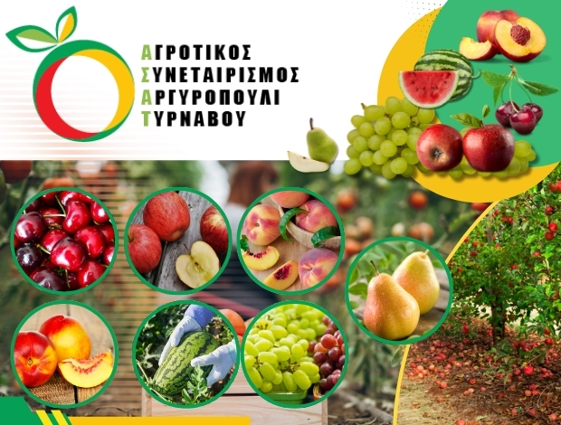 ΑΓΡΟΤΙΚΟΣ ΣΥΝΕΤΑΙΡΙΣΜΟΣ ΠΑΡΑΓΩΓΟΙ ΑΡΓΥΡΟΠΟΥΛΙΟΥ ΤΥΡΝΑΒΟΥ