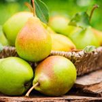 ΒΙΟΜΗΧΑΝΙΑ-ΚΟΜΠΟΣΤΑΣ-ΒΕΡΟΙΑ-ΑΛΜΜΕ-ΑΕ