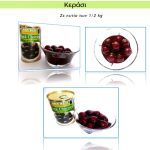 ΒΙΟΜΗΧΑΝΙΑ-ΚΟΜΠΟΣΤΑΣ-ΒΕΡΟΙΑ-ΑΛΜΜΕ-ΑΕ