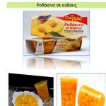 ΒΙΟΜΗΧΑΝΙΑ-ΚΟΜΠΟΣΤΑΣ-ΒΕΡΟΙΑ-ΑΛΜΜΕ-ΑΕ