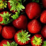 ΒΙΟΜΗΧΑΝΙΑ-ΚΟΜΠΟΣΤΑΣ-ΒΕΡΟΙΑ-ΑΛΜΜΕ-ΑΕ