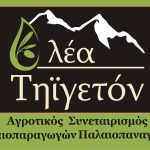 Agrotikos-Synetairismos-Elaioparagogon-Paleopanagias-Lakonias-(1)