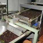 Agrotikos-Synetairismos-Vlachioti-Lakonias-(2)