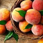 AGROTIKOS-SYNETAIRISMOS-PELLAS-AC-PELLA