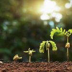 AGROTIKOS-SYNETAIRISMOS-PELLAS-AC-PELLA