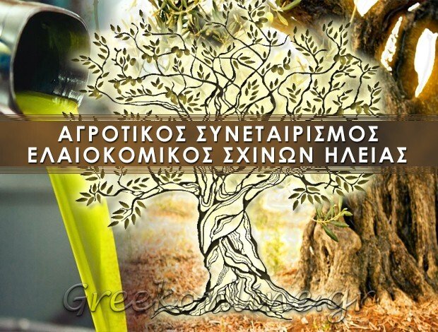 ΑΓΡΟΤΙΚΟΣ ΕΛΑΙΟΚΟΜΙΚΟΣ ΣΥΝΕΤΑΙΡΙΣΜΟΣ ΣΧΙΝΩΝ ΗΛΕΙΑΣ