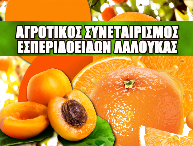 ΑΓΡΟΤΙΚΟΣ ΣΥΝΕΤΑΙΡΙΣΜΟΣ ΕΣΠΕΡΙΔΟΕΙΔΩΝ ΛΑΛΟΥΚΑΣ ΑΡΓΟΛΙΔΑΣ