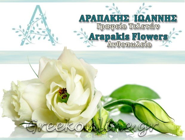 ΓΡΑΦΕΙΟ ΤΕΛΕΤΩΝ  ΕΡΜΙΟΝΗ ΑΡΓΟΛΙΔΑΣ  ΑΡΑΠΑΚΗΣ ΝΙΚΟΛΑΟΣ