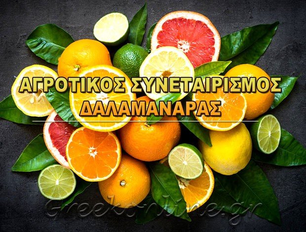 ΑΓΡΟΤΙΚΟΣ ΣΥΝΕΤΑΙΡΙΣΜΟΣ ΔΑΛΑΜΑΝΑΡΑΣ ΑΡΓΟΛΙΔΑΣ