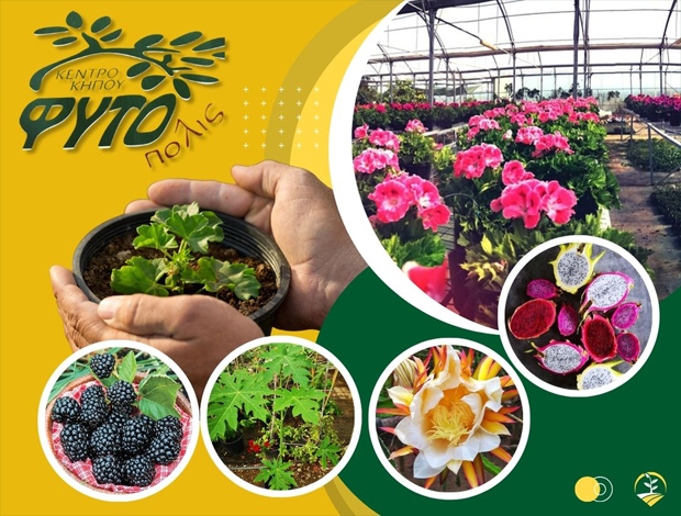 ΦΥΤΩΡΙΑ ΜΥΤΙΛΗΝΗΣ   “ΦΥΤΟΠΟΛΙΣ ΚΕΝΤΡΟ ΚΗΠΟΥ”   ΓΙΑΣΣΑΣ ΔΗΜΗΤΡΙΟΣ