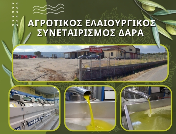 ΑΓΡΟΤΙΚΟΣ ΕΛΑΙΟΥΡΓΙΚΟΣ ΣΥΝΕΤΑΙΡΙΣΜΟΣ ΔΑΡΑ ΜΕΣΣΗΝΙΑΣ