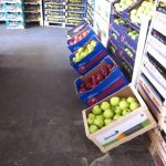 ΕΜΠΟΡΙΟ-ΑΓΡΟΤΙΚΩΝ-ΠΡΟΪΟΝΤΩΝ-ΡΕΝΤΗΣ-ΜΑΡΤΣΟΥΚΟΣ-ΑΕ