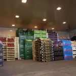 ΕΜΠΟΡΙΟ-ΑΓΡΟΤΙΚΩΝ-ΠΡΟΪΟΝΤΩΝ-ΡΕΝΤΗΣ-ΜΑΡΤΣΟΥΚΟΣ-ΑΕ