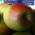 ΕΜΠΟΡΙΟ-ΑΓΡΟΤΙΚΩΝ-ΠΡΟΪΟΝΤΩΝ-ΡΕΝΤΗΣ-ΜΑΡΤΣΟΥΚΟΣ-ΑΕ