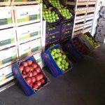 ΕΜΠΟΡΙΟ-ΑΓΡΟΤΙΚΩΝ-ΠΡΟΪΟΝΤΩΝ-ΡΕΝΤΗΣ-ΜΑΡΤΣΟΥΚΟΣ-ΑΕ