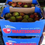 ΕΜΠΟΡΙΟ-ΑΓΡΟΤΙΚΩΝ-ΠΡΟΪΟΝΤΩΝ-ΡΕΝΤΗΣ-ΜΑΡΤΣΟΥΚΟΣ-ΑΕ