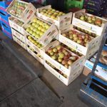 ΕΜΠΟΡΙΟ-ΑΓΡΟΤΙΚΩΝ-ΠΡΟΪΟΝΤΩΝ-ΡΕΝΤΗΣ-ΜΑΡΤΣΟΥΚΟΣ-ΑΕ