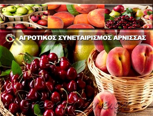 ΑΓΡΟΤΙΚΟΣ ΣΥΝΕΤΑΙΡΙΣΜΟΣ ΑΡΝΙΣΣΑΣ “Α.Σ. ΑΡΝΙΣΣΑΣ ΠΕΛΛΑΣ”