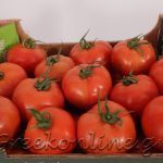 ΑΣ-ΚΑΜΙΡΟΣ-ΚΕΝΤΡΙ-ΙΕΡΑΠΕΤΡΑ-ΟΠ-ΚΡΗΤΙΚΟ-ΠΕΡΒΟΛΙ