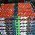 ΑΣ-ΚΑΜΙΡΟΣ-ΚΕΝΤΡΙ-ΙΕΡΑΠΕΤΡΑ-ΟΠ-ΚΡΗΤΙΚΟ-ΠΕΡΒΟΛΙ