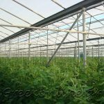 ΑΓΡΟΤΙΚΟΣ-ΣΥΝΕΤΑΙΡΙΣΜΟΣ-ΚΑΜΙΡΟΣ-ΙΕΡΑΠΕΤΡΑ-ΚΡΗΤΙΚΟ-ΠΕΡΒΟΛΙ