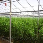 ΑΣ-ΚΑΜΙΡΟΣ-ΚΕΝΤΡΙ-ΙΕΡΑΠΕΤΡΑ-ΟΠ-ΚΡΗΤΙΚΟ-ΠΕΡΒΟΛΙ