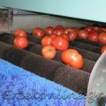 ΑΣ-ΚΑΜΙΡΟΣ-ΚΕΝΤΡΙ-ΙΕΡΑΠΕΤΡΑ-ΟΠ-ΚΡΗΤΙΚΟ-ΠΕΡΒΟΛΙ