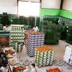 ΑΣ-ΚΑΜΙΡΟΣ-ΚΕΝΤΡΙ-ΙΕΡΑΠΕΤΡΑ-ΟΠ-ΚΡΗΤΙΚΟ-ΠΕΡΒΟΛΙ