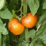 ΑΣ-ΚΑΜΙΡΟΣ-ΚΕΝΤΡΙ-ΙΕΡΑΠΕΤΡΑ-ΟΠ-ΚΡΗΤΙΚΟ-ΠΕΡΒΟΛΙ