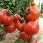 ΑΣ-ΚΑΜΙΡΟΣ-ΚΕΝΤΡΙ-ΙΕΡΑΠΕΤΡΑ-ΟΠ-ΚΡΗΤΙΚΟ-ΠΕΡΒΟΛΙ