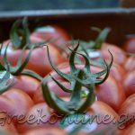 ΑΣ-ΚΑΜΙΡΟΣ-ΚΕΝΤΡΙ-ΙΕΡΑΠΕΤΡΑ-ΟΠ-ΚΡΗΤΙΚΟ-ΠΕΡΒΟΛΙ