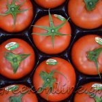 ΑΣ-ΚΑΜΙΡΟΣ-ΚΕΝΤΡΙ-ΙΕΡΑΠΕΤΡΑ-ΟΠ-ΚΡΗΤΙΚΟ-ΠΕΡΒΟΛΙ